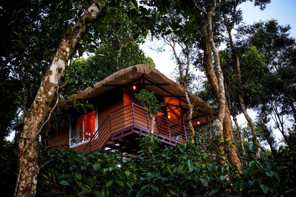 Wayanad Tree House